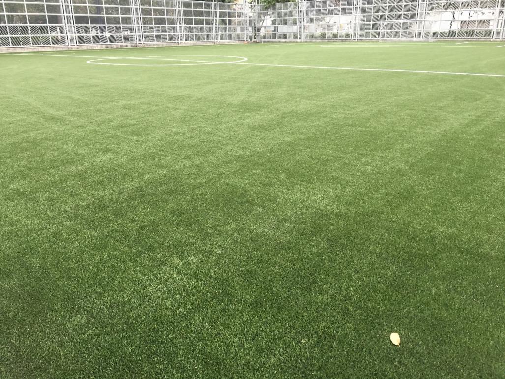 Soccer Pitch at Cherry Street Park